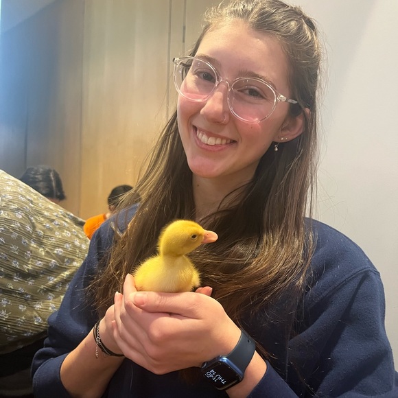 Meet your Posher, Emma - Picture 2 of 5